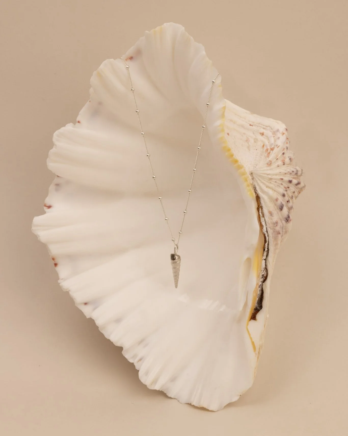 DEV26NEMI22 Ceto ~ shell pendant necklace SLV.jpg