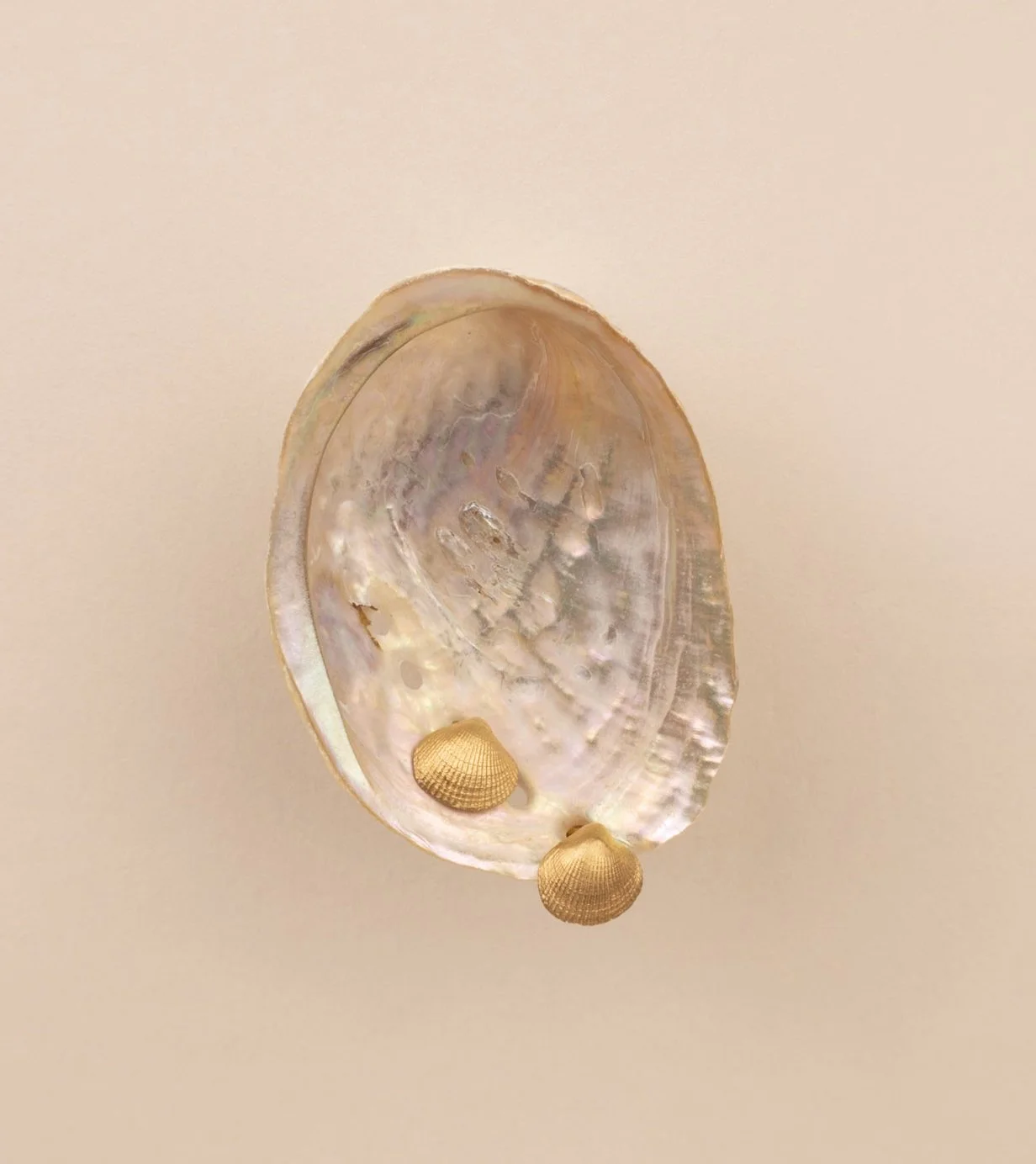 DEV26NEMI09 Mia ~ shell studs GLD.jpg