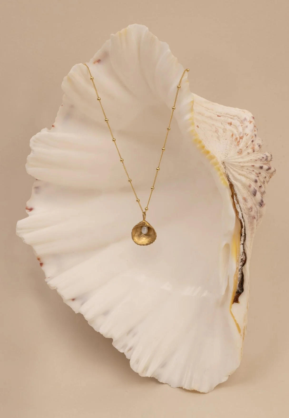 Astro ~  shell pearl necklace