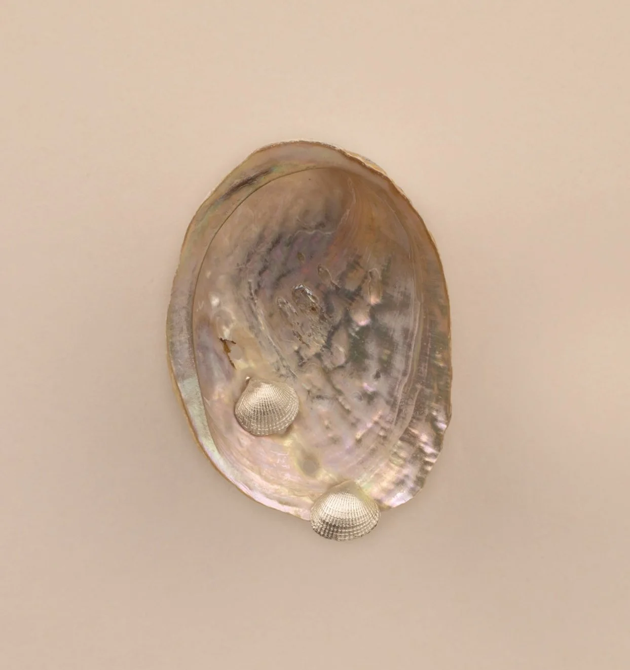 DEV26NEMI09 Mia ~ shell studs SLV V2.jpg