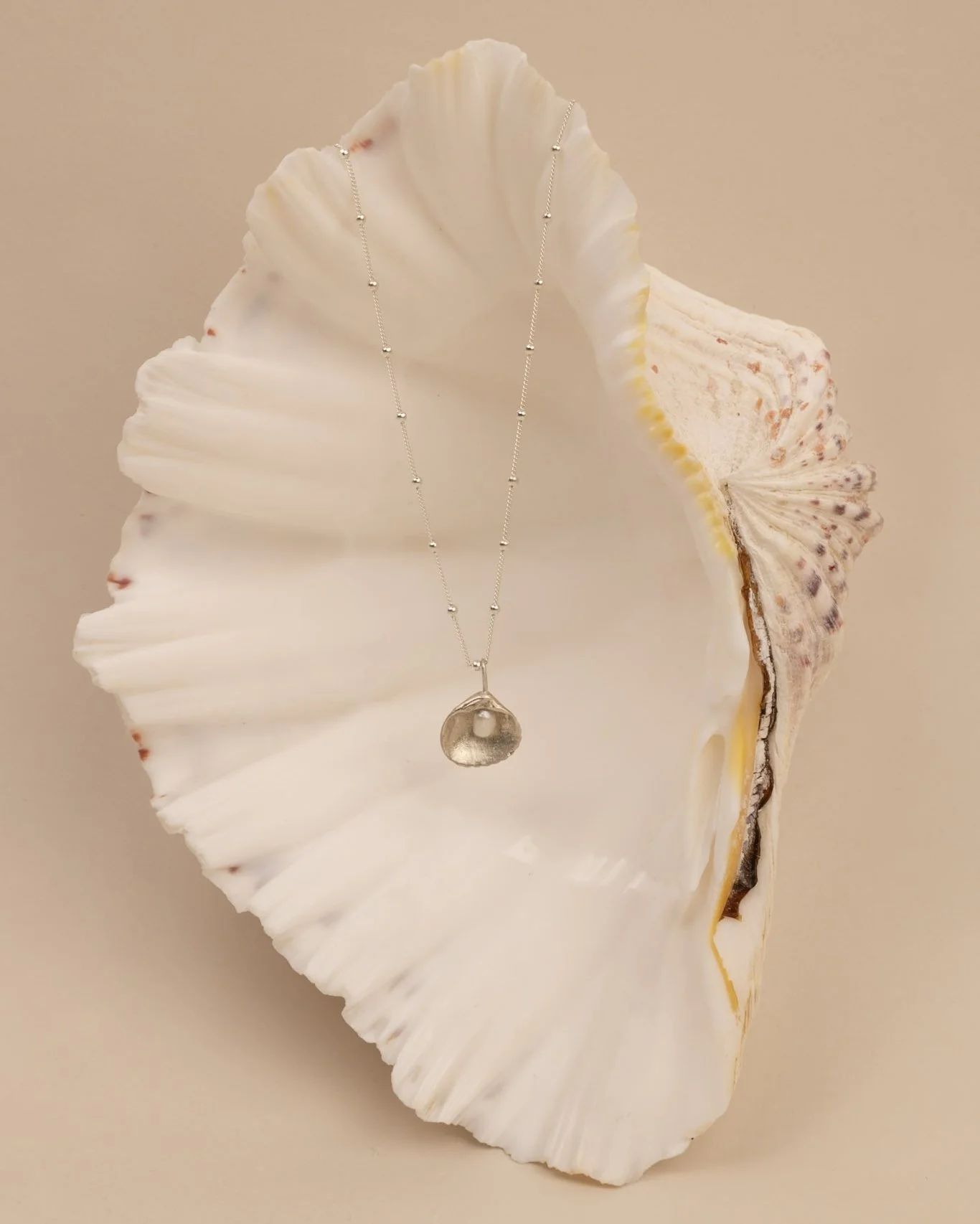 DEV26NEMI25 Astro ~ shell pearl necklace SLV.jpg