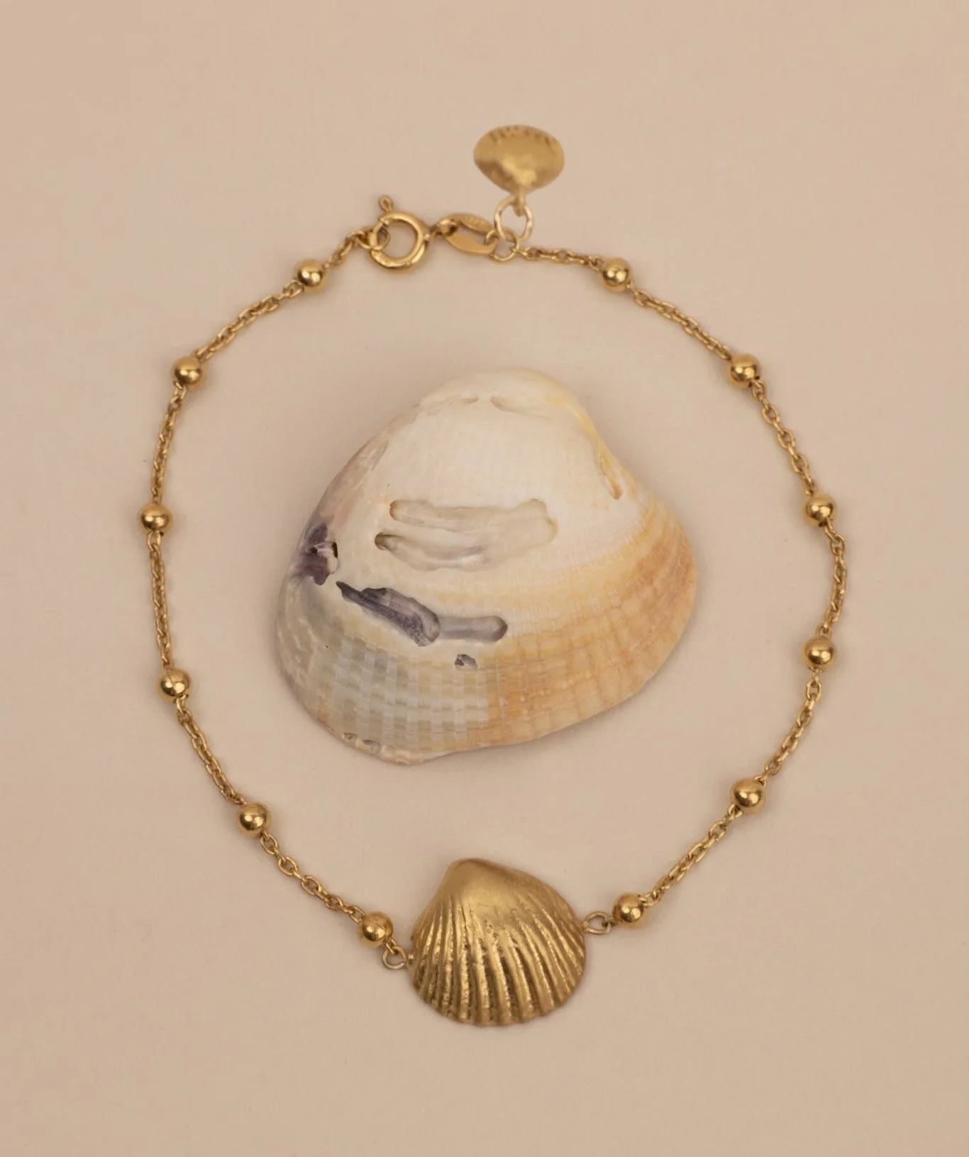 DEV26NEMI20 Zoe ~ shell bracelet GLD.jpg
