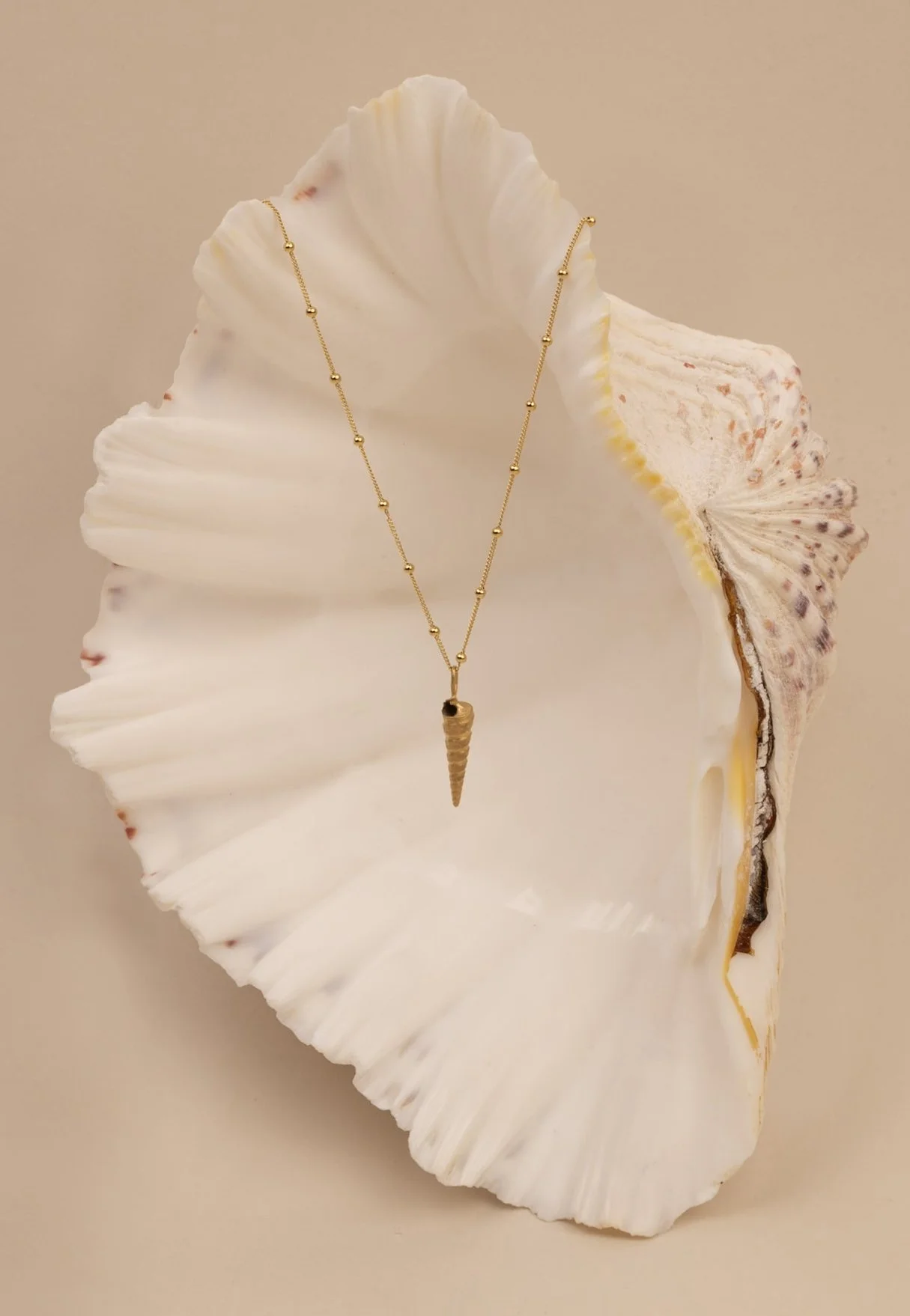 Ceto ~  shell pendant necklace