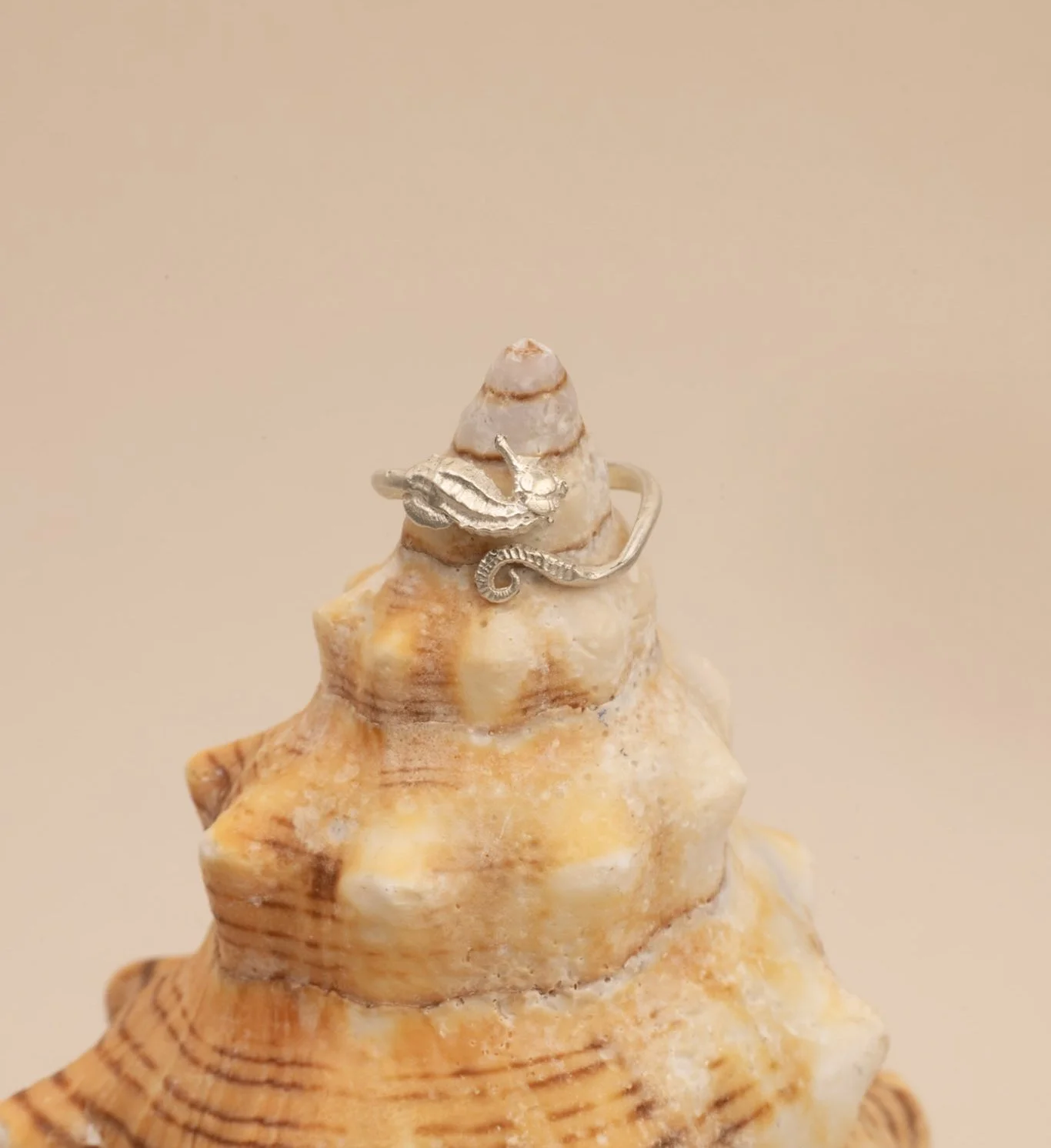 DEV26NEMI28 Talia ~ seahorse ring SLV 2.jpg