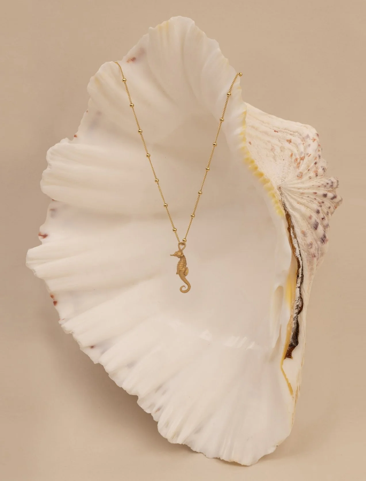 Ran ~ seahorse necklace