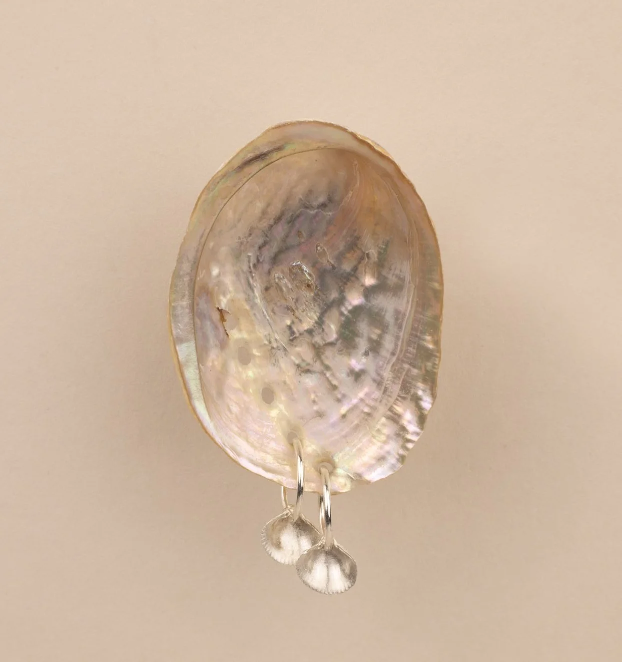 DEV26NEMI15 Ula ~ shell sleepers SLV.jpg