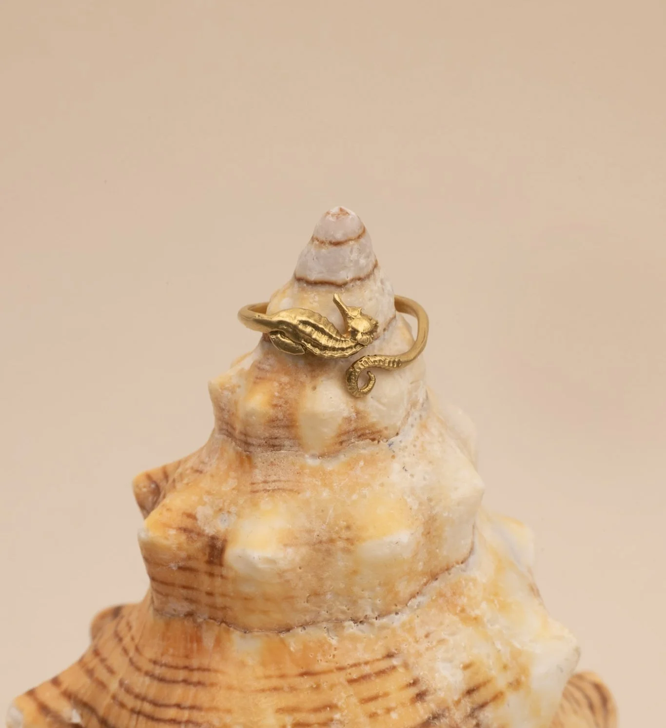 DEV26NEMI28 Talia ~ seahorse ring GLD 1.jpg