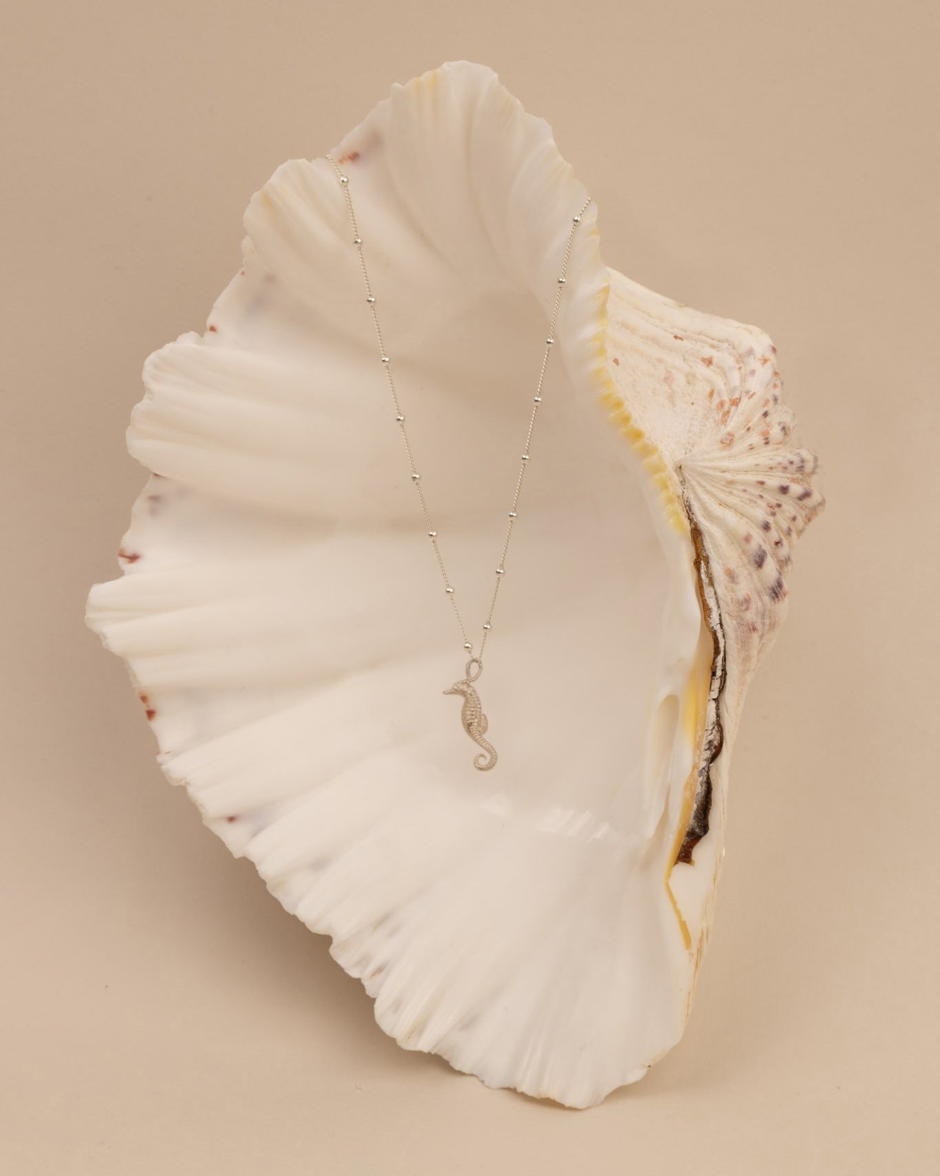 DEV26NEMI23 Ran ~ seahorse necklace SLV.jpg