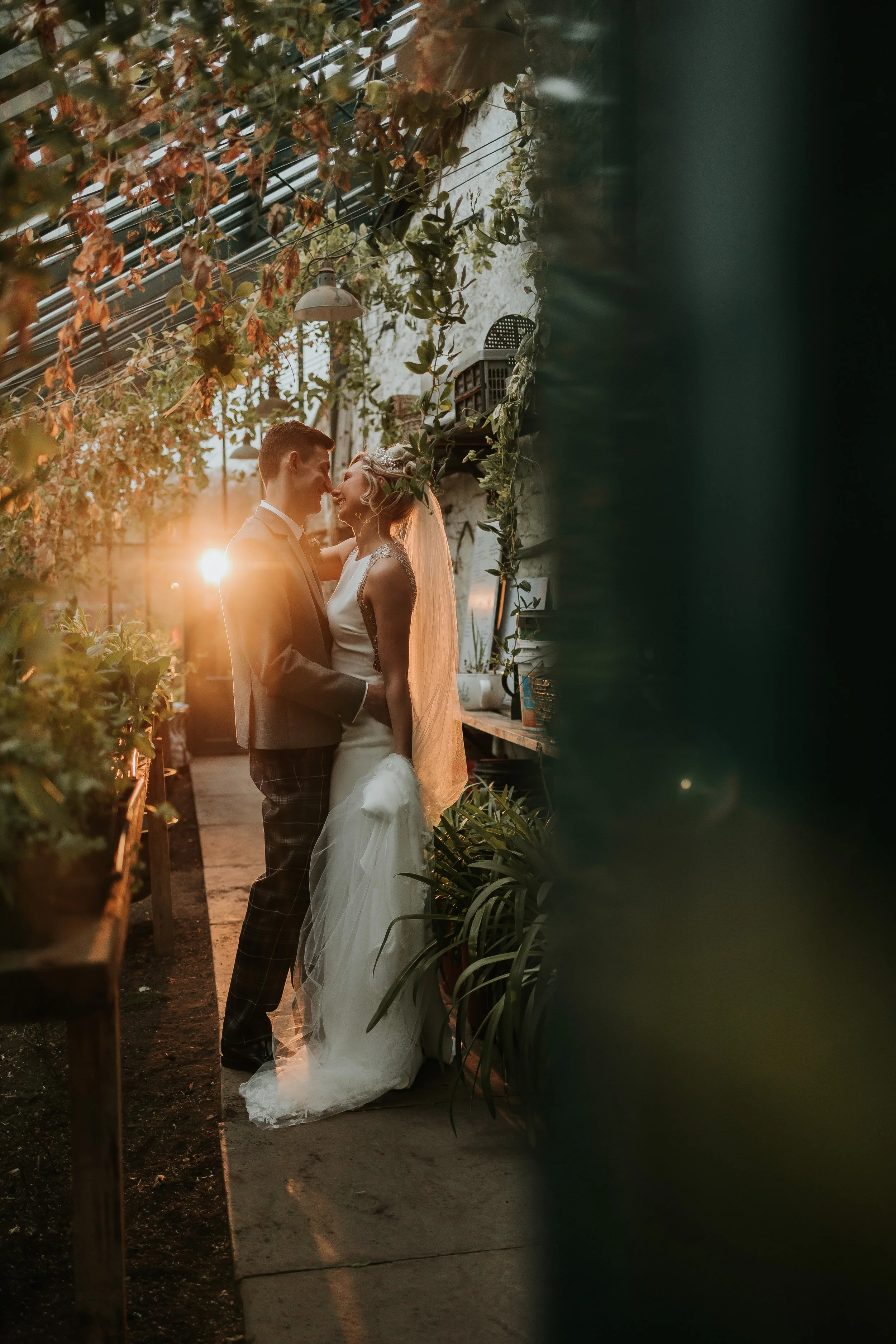 A bride and groom standing close together in a greenhouse at sunset, with greenery and plants around them, sharing a moment during their wedding.