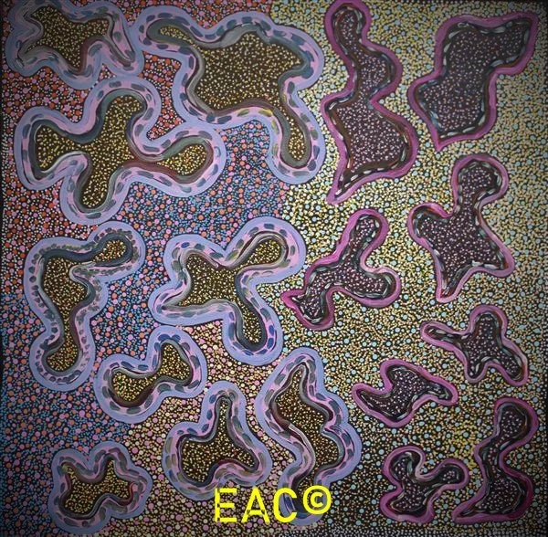 24.215 Bush Medicine Seeds - Shirley.jpeg