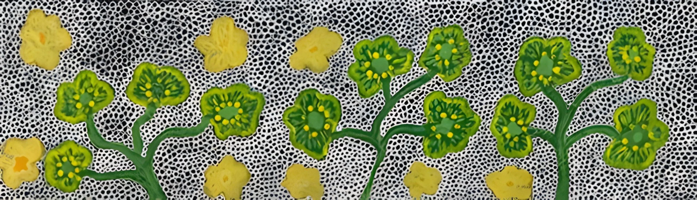 Janet Tilmouth - Native Flower