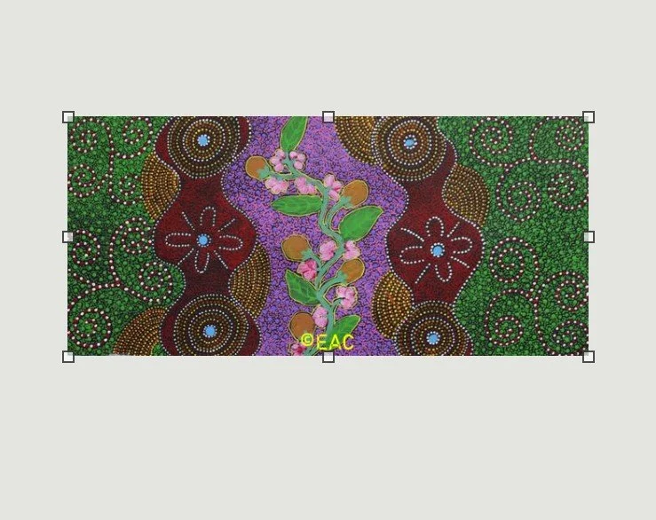25.338 Bush Tucker - Thelma.jpg
