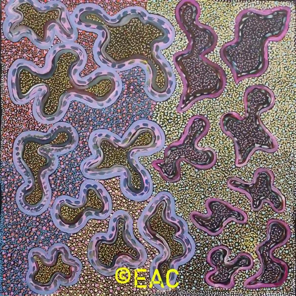 Shirley Dixon - Bush Medicine Seeds