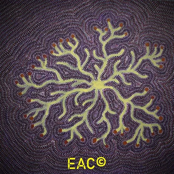 24.43 Dry Saltbush (Ntjamanya) - Joy.jpeg