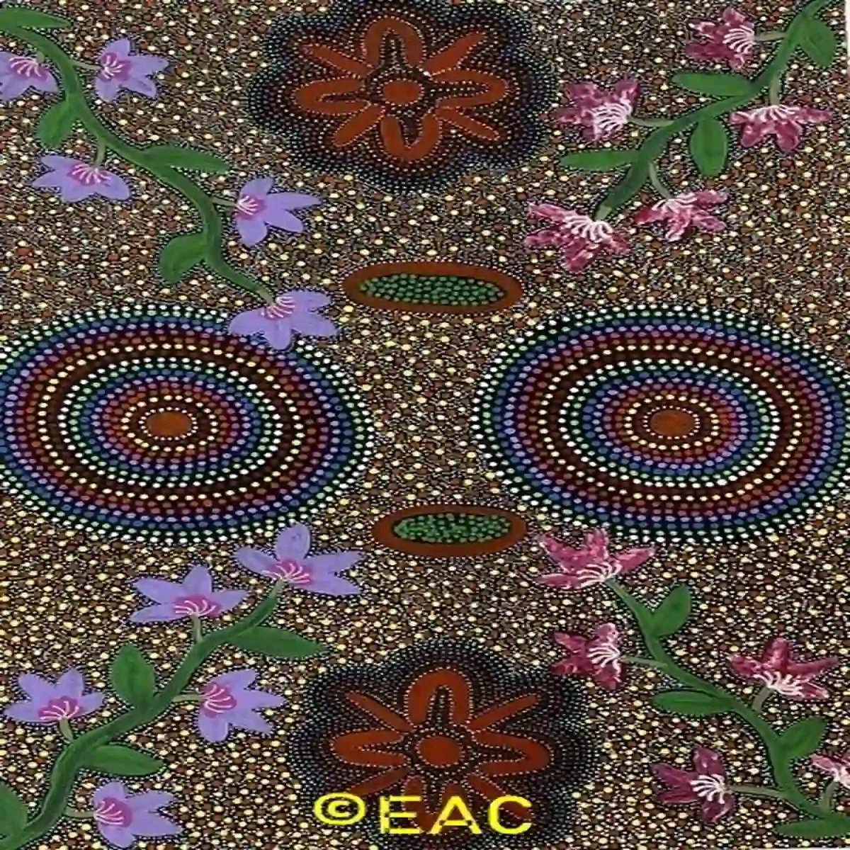 25.228 Bush medicine - Thelma Dixon.webp