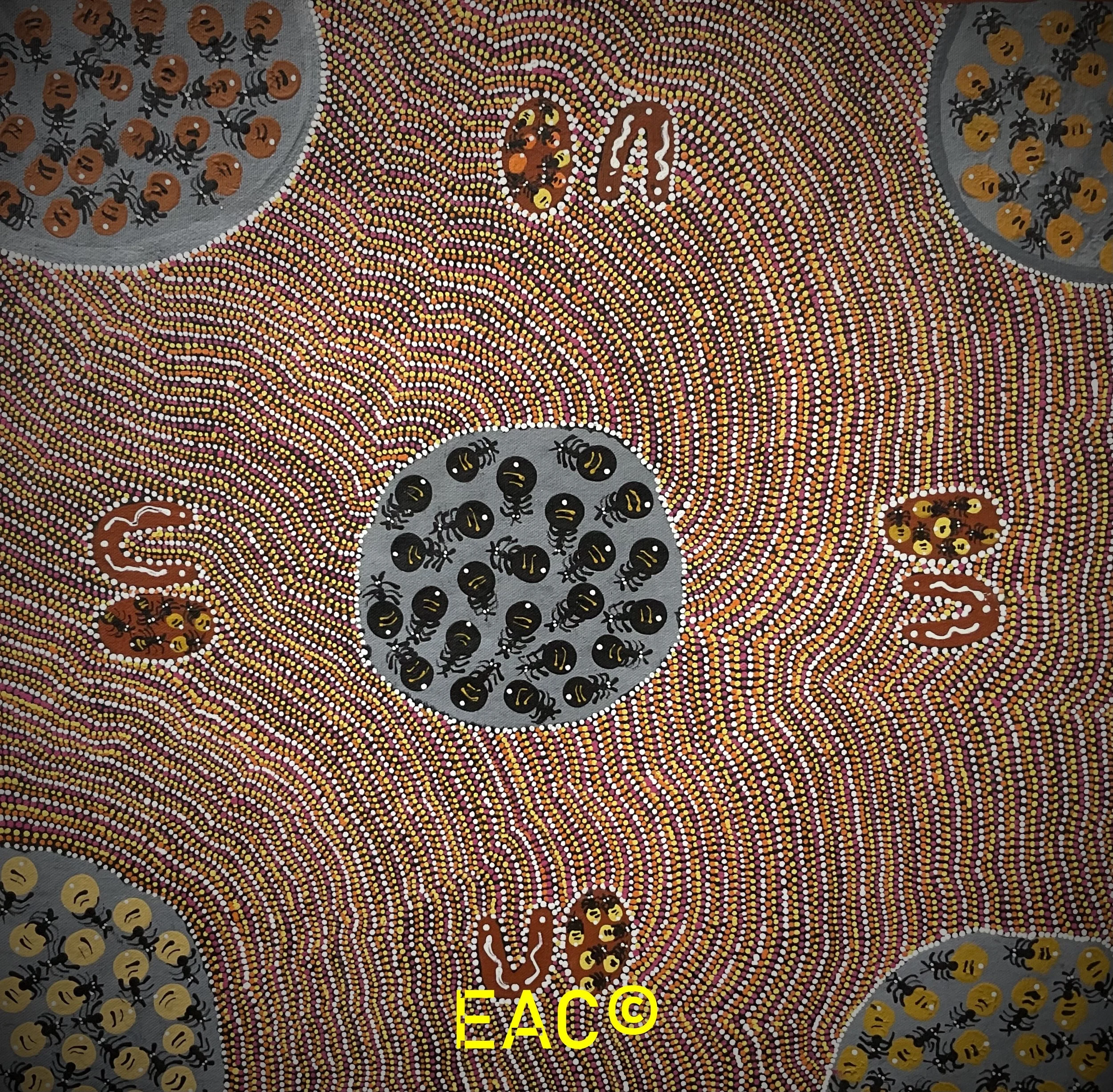 23.175 Women gathering honey ants - Irene.jpeg