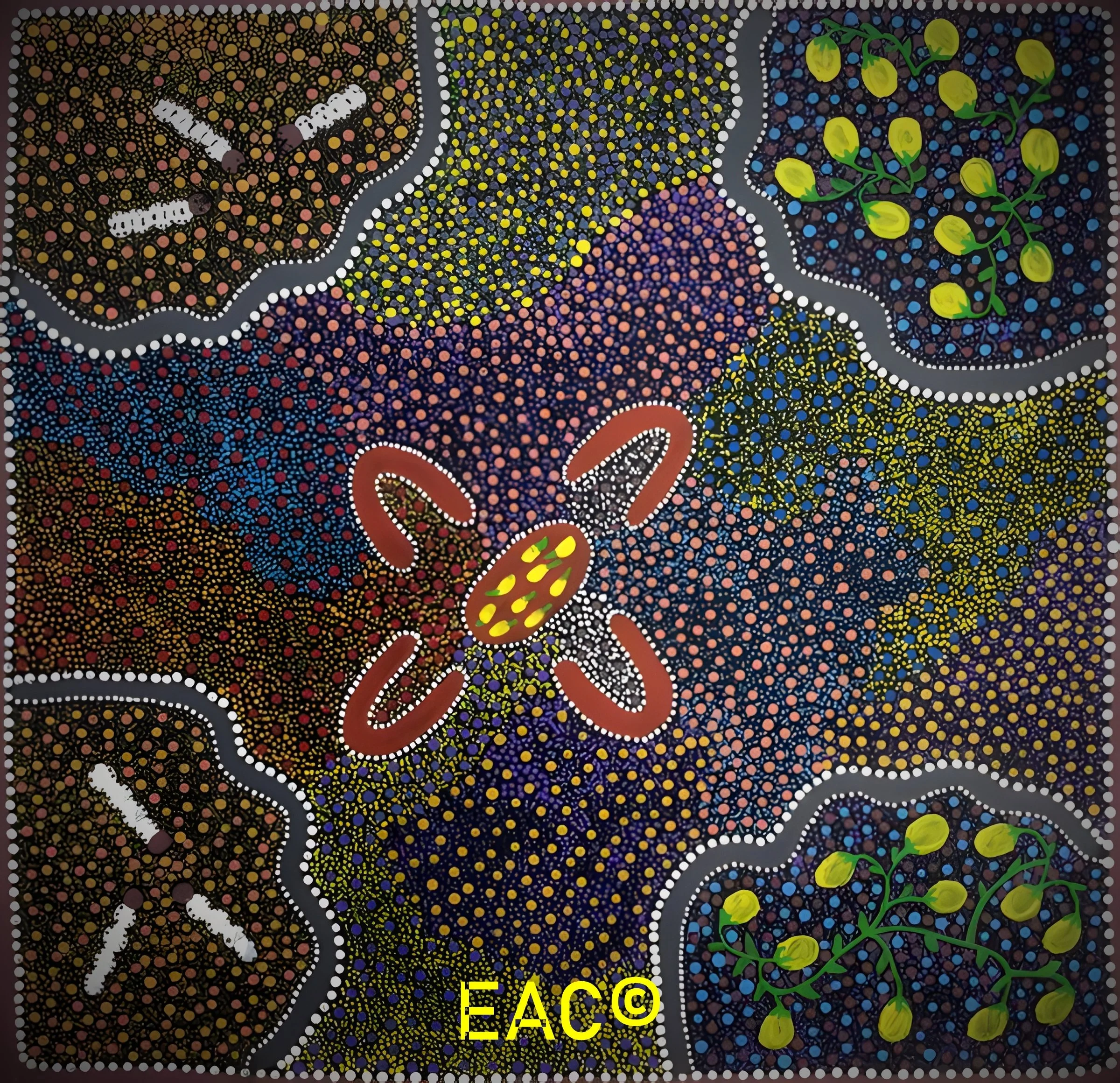 17en.648 Women Collecting Bush Tucker - Elsie.jpeg