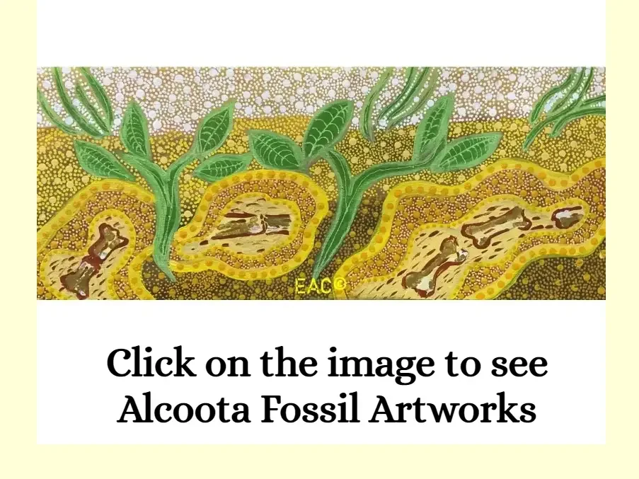 Janet Tilmouth - Alcoota Fossil Site