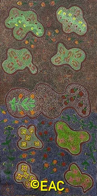 26.218 Bush tomatoes with flowers - Shirley Dixon.webp