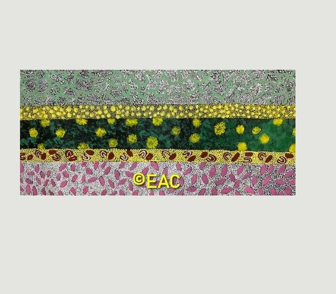26.129 Bush medicine flowers - Janet.jpg