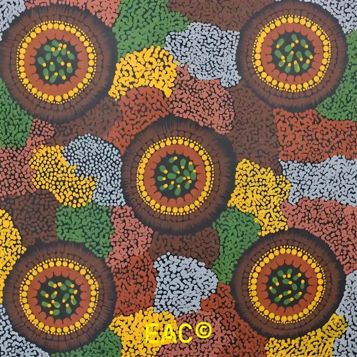 Annalisa Neal - Bush seeds used in damper