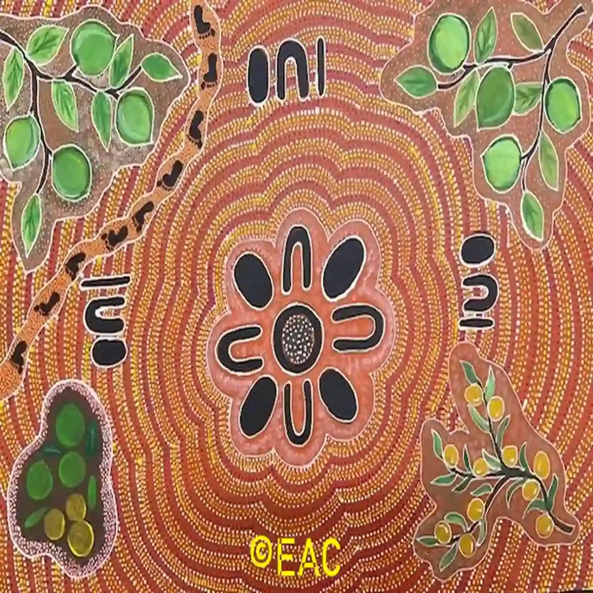 25.43 Women collecting bush tucker - Dianne.webp