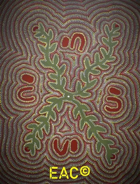 25.93 Saltbush (Ntjamanya) - Joy.jpeg