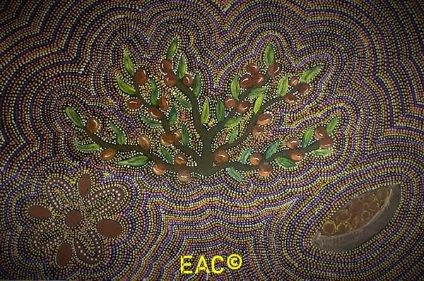 24.325 Bush Tucker - Dianne.jpeg