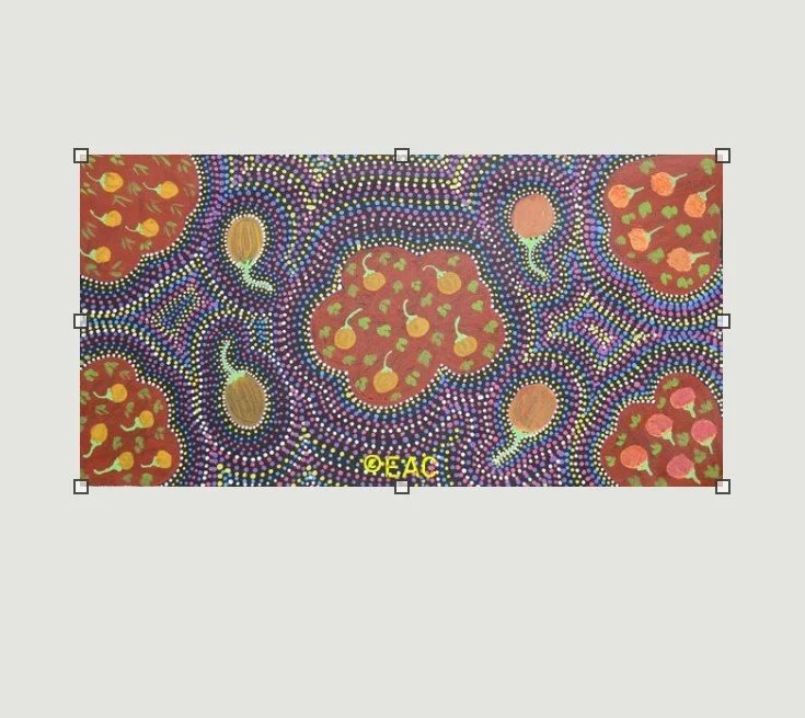 25.280 Bush tomatoes - Shirley Dixon.jpg