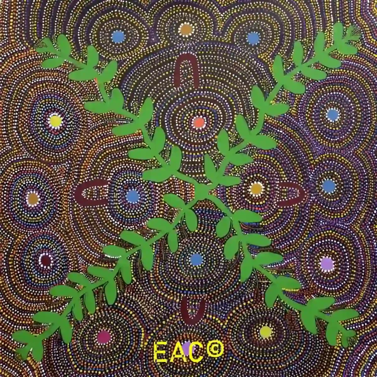 Joy Turner - Bush medicine