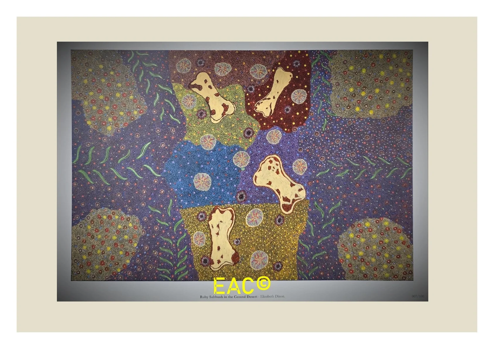 19en.450 Ruby Saltbush - Eliz PRINT.jpg