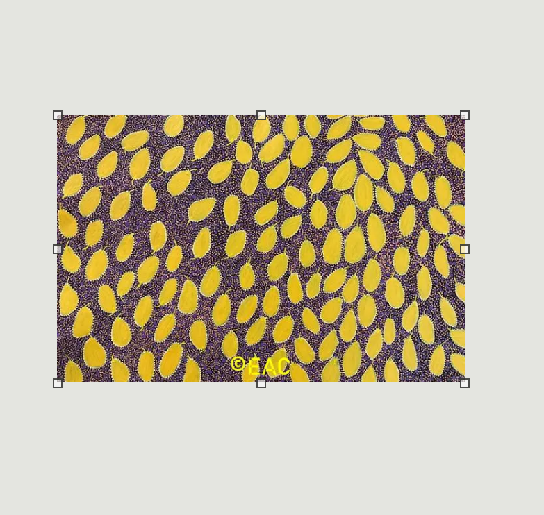 26.109 Wild passion fruit - Joy.png