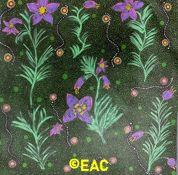 25.305 Bush medicine flower - Joanne.webp