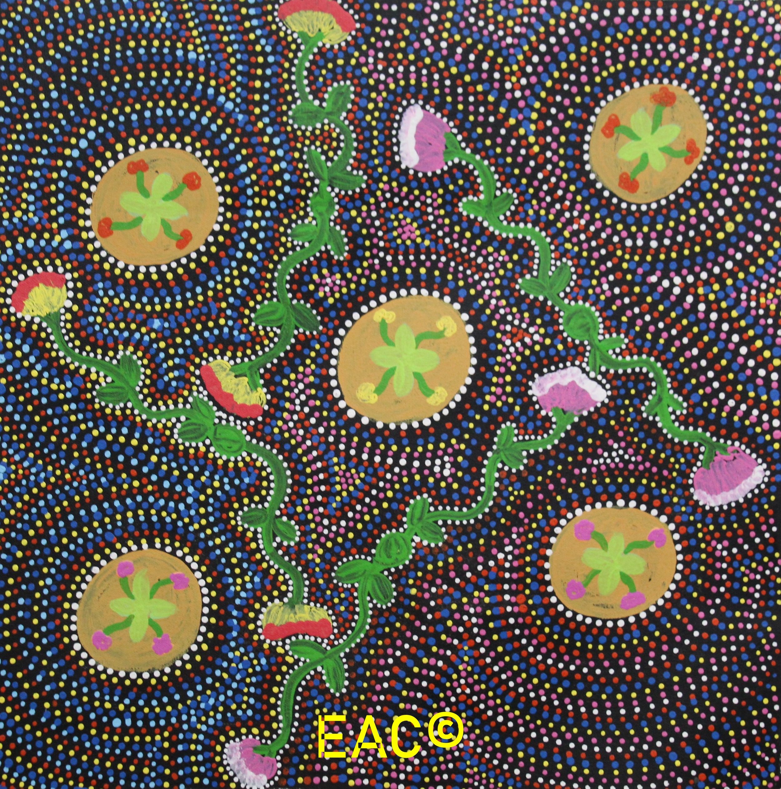 26.29 Bush native flowers - Shirley.jpeg