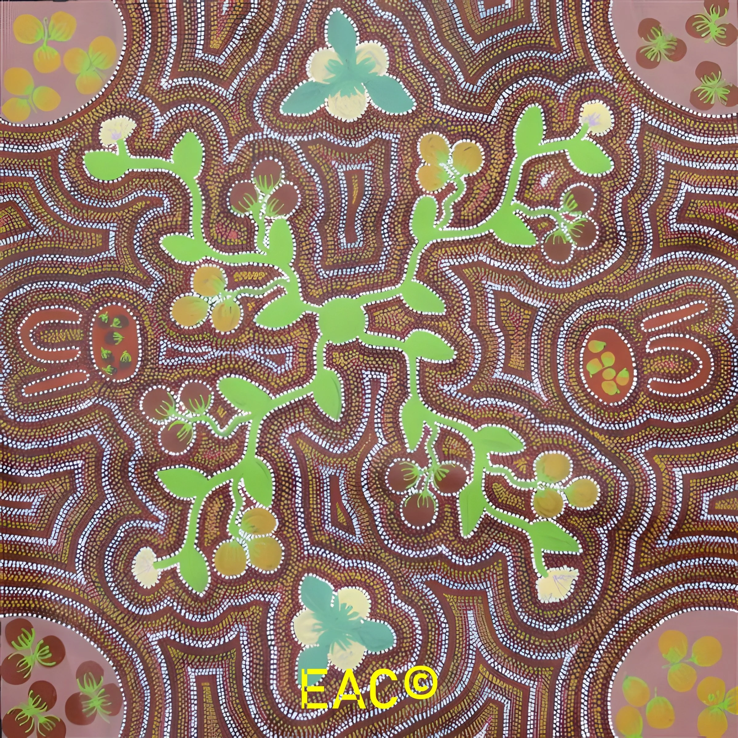 25.293 Women collecting bush tomatoes - Maryanne.jpeg