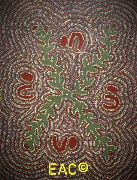 25.93 Saltbush (Ntjamanya) - Joy.webp