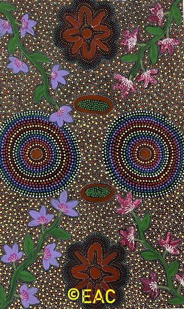 25.228 Bush medicine - Thelma Dixon.jpeg