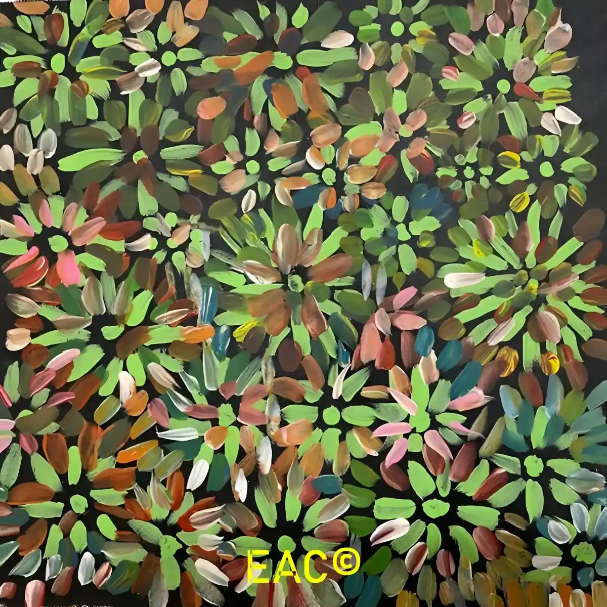 25.44 Bush medicine leaves - Janet.webp
