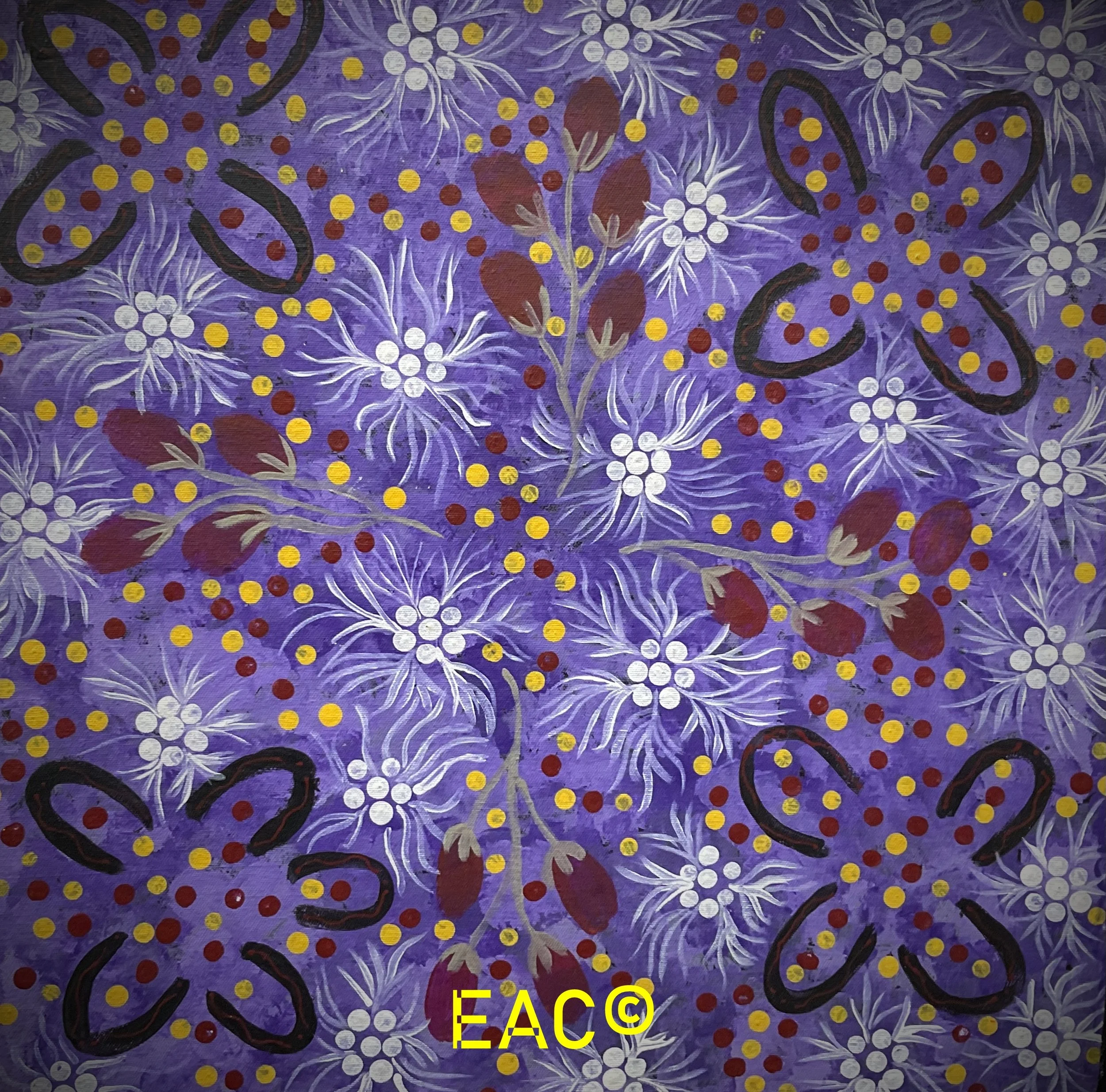 23.457 Women collecting bush tomato - Mary.jpeg