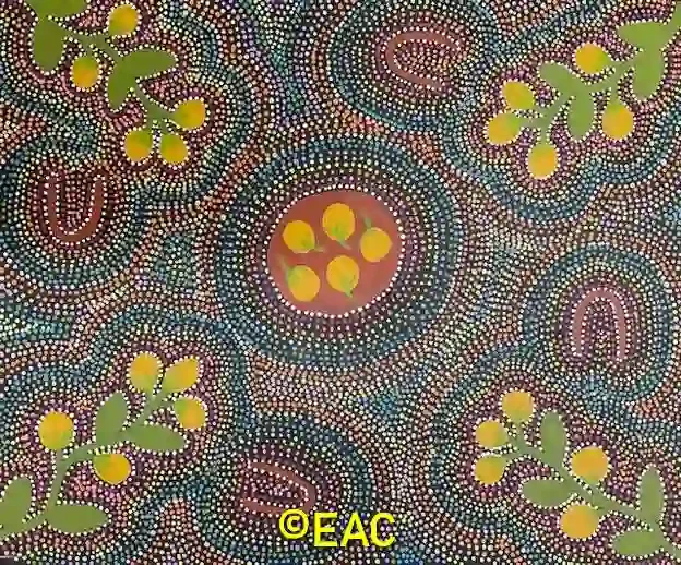 24.340 Bush tucker - Barbara.webp