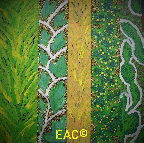 25.78 Healing Bush Medicine - Janet.jpeg