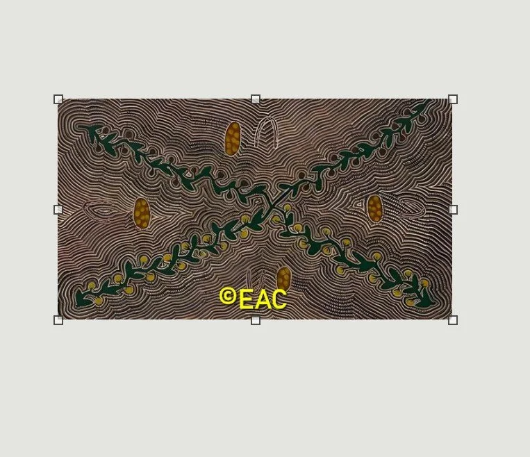 25.47 Bush tomatoes - Irene.jpg