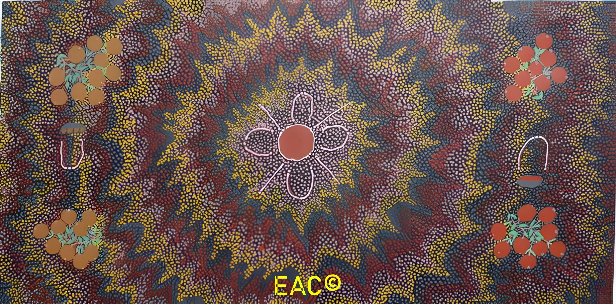 Nancy Tilmouth - Women harvesting bush tomatoes