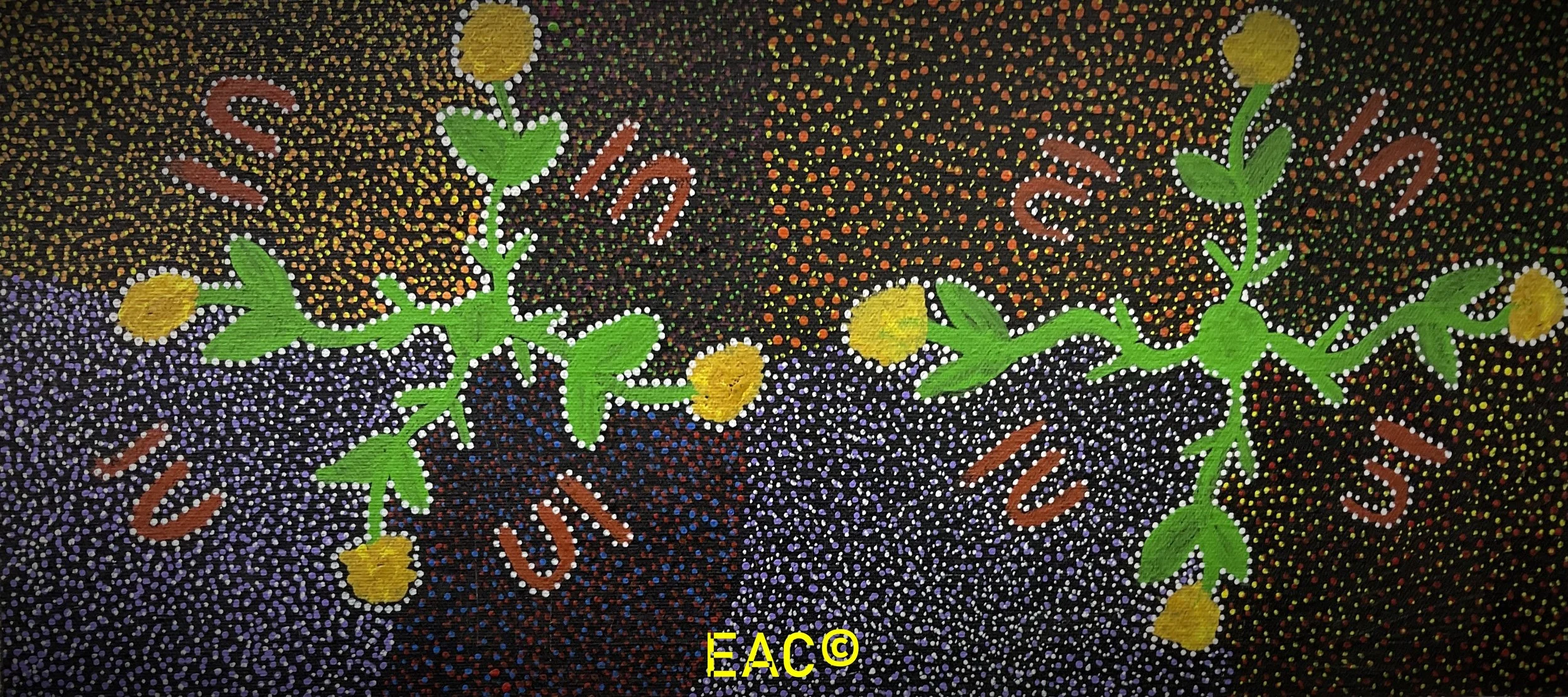 25.110 Women harvesting bush tomatoes - Shirley.jpeg