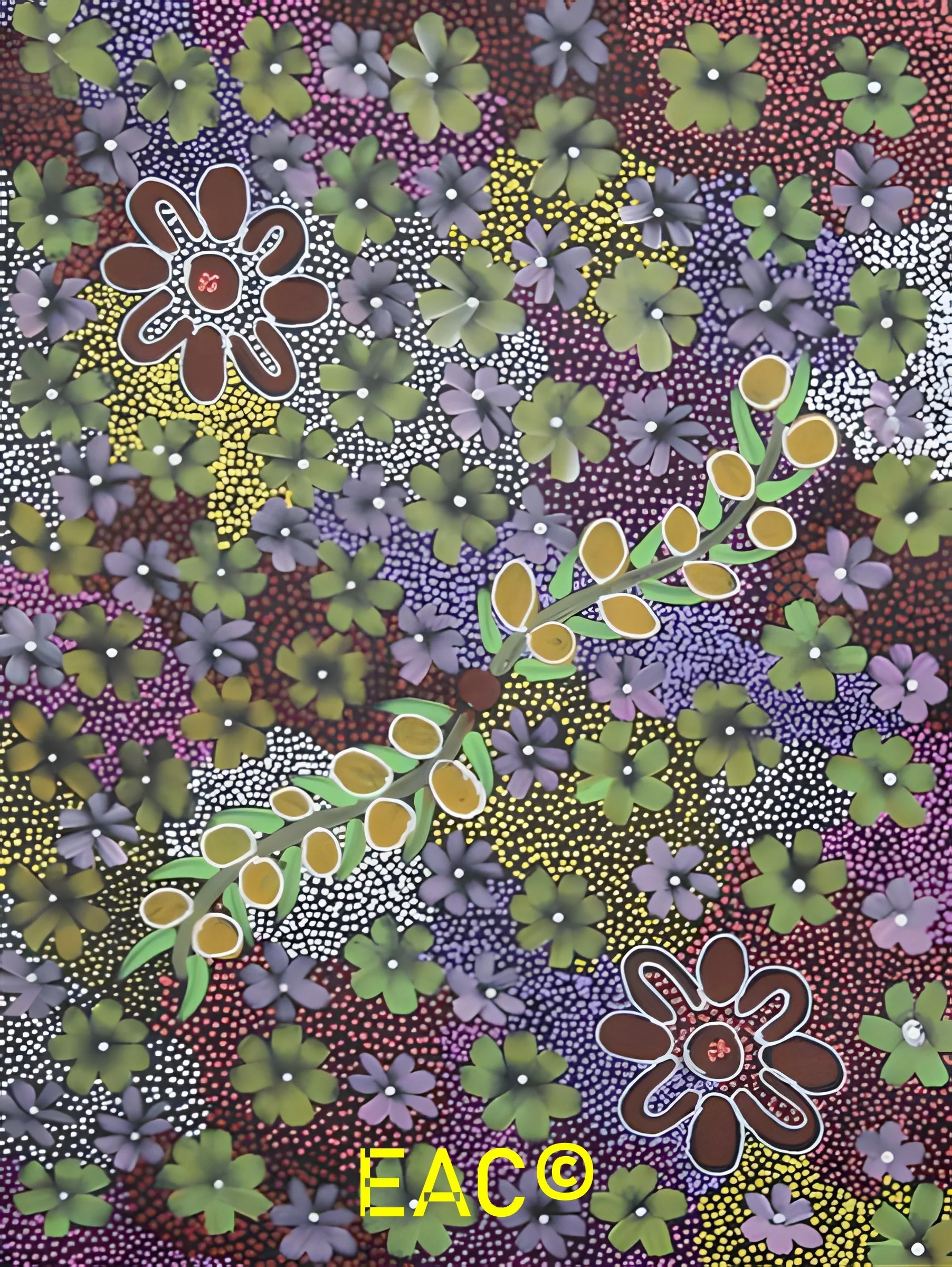 25.351 Women harvseting bush tomatoes - Dianne.jpeg