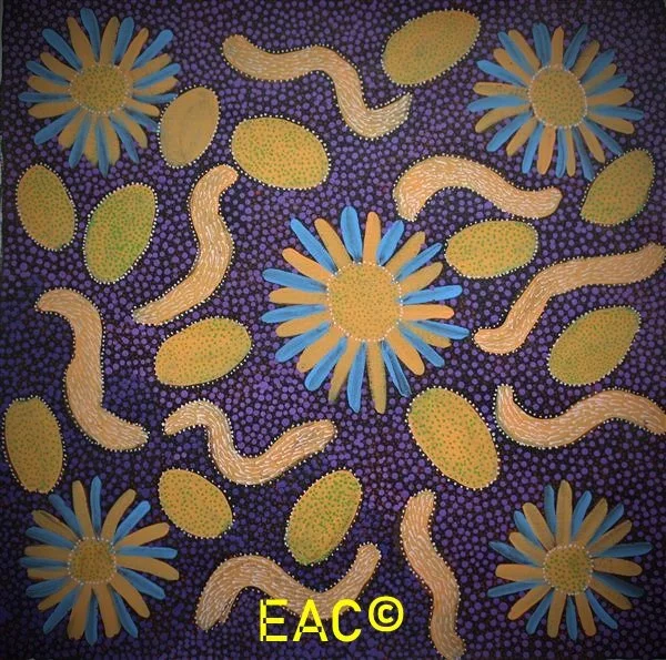 24.300 Bush Medicine - Hilda.jpeg