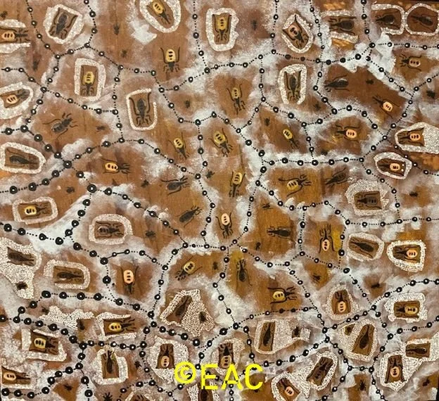 26.53 Life of honey ants in the desert - Kirsty.webp