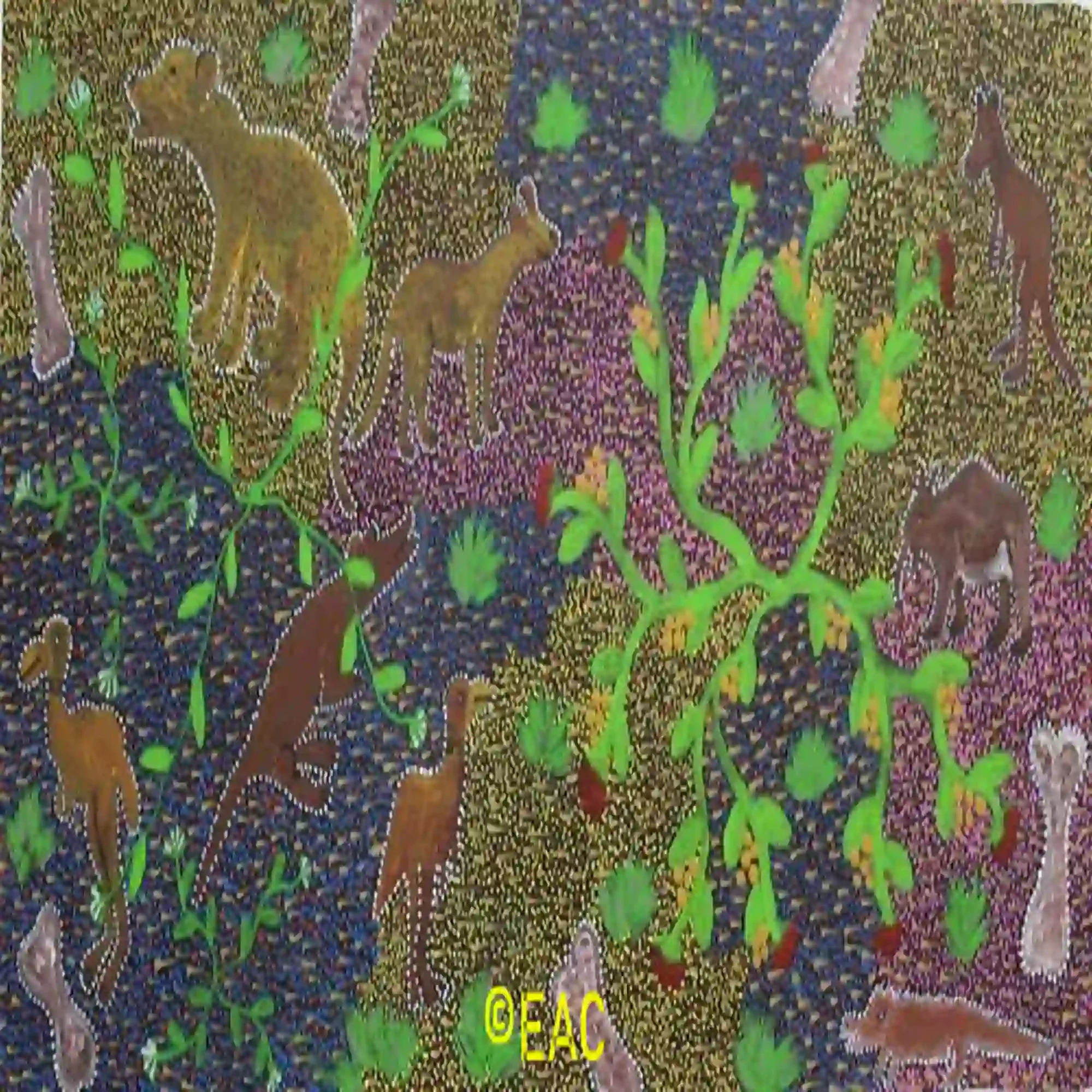 Elizabeth Dixon - Mega fauna eating native plants