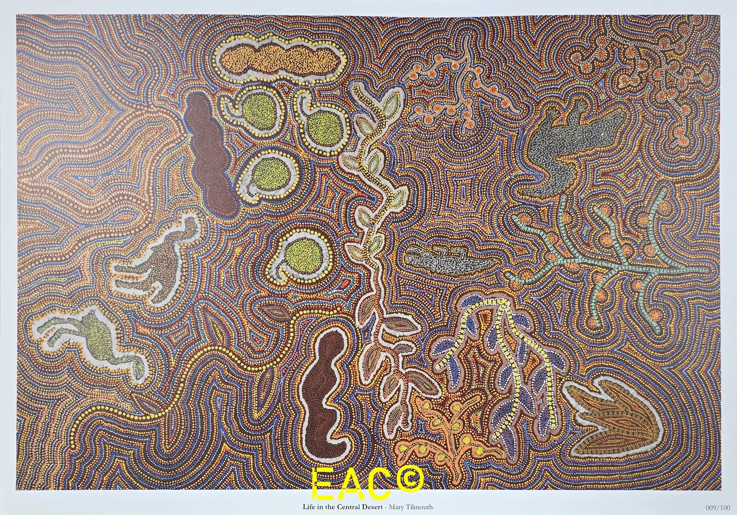 19en.448 Life in the Central Desert - Mary Tilmouth.jpeg