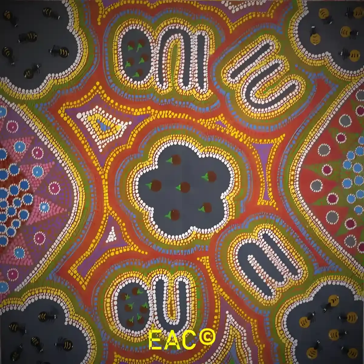 Brenda Tilmouth - Gathering Bush Tucker